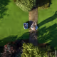 Navimow i1-Series i108E view 2
